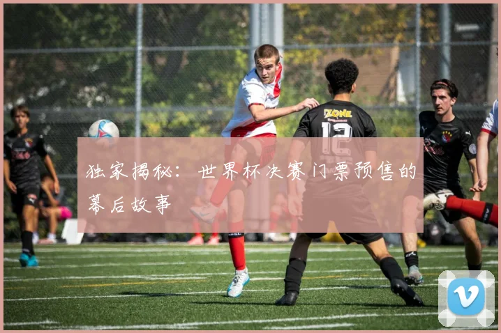 独家揭秘：世界杯决赛门票预售的幕后故事